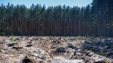 Gobierno argentino rechaza calificación de riesgo ambiental dada por la Unión Europea, pese a que la deforestación continúa