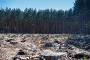 Gobierno argentino rechaza calificación de riesgo ambiental dada por la Unión Europea, pese a que la deforestación continúa