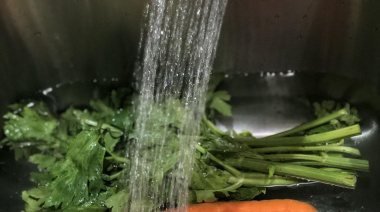 Lavar con agua: el método más eficaz para eliminar pesticidas