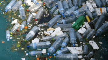 "Sin contaminación por plásticos", el lema en el Día Mundial del Medio Ambiente 2025: un llamado global y urgente