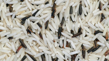 El cambio climático podría incrementar el arsénico en el arroz y afectar la salud mundial