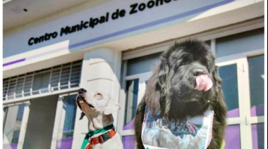 Monte Grande construyó un Hospital Veterinario gratuito