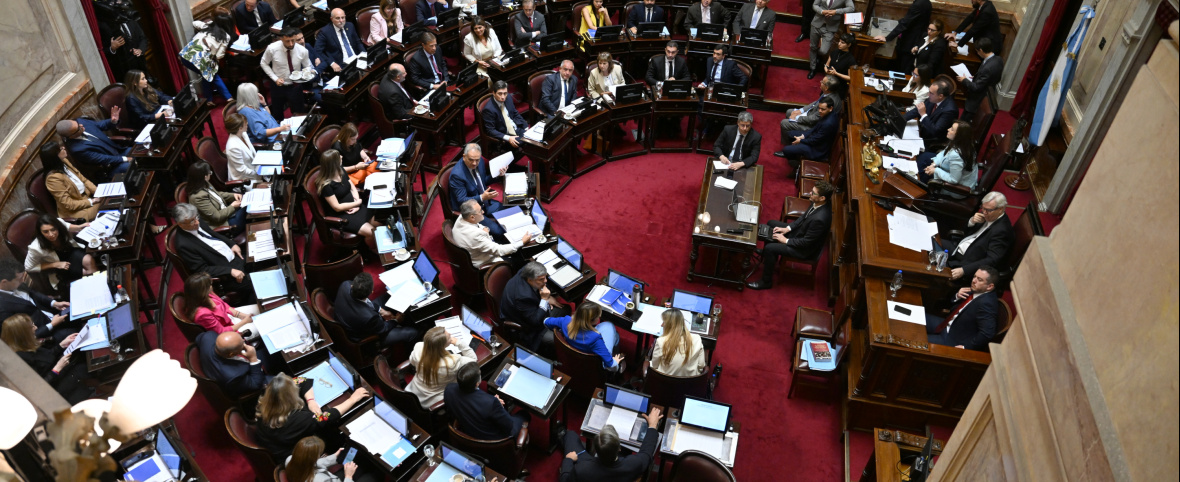 El Senado define el plan Milei