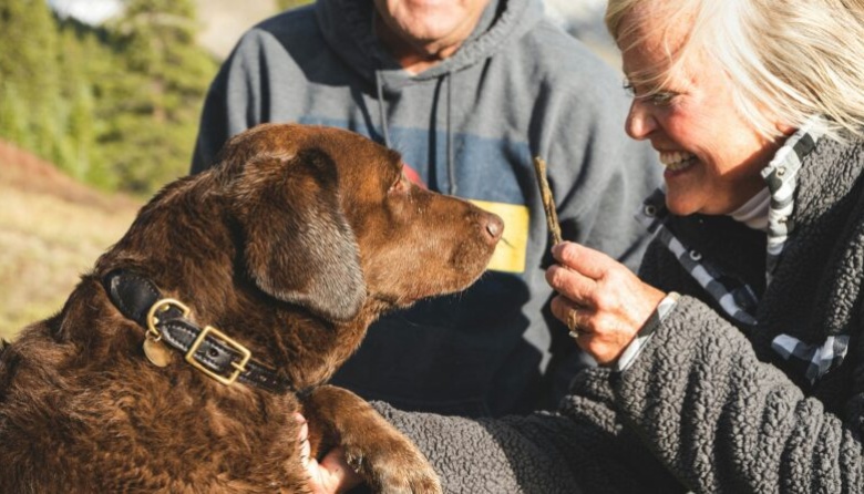 ¿Por qué tu perro te sigue a todas partes?