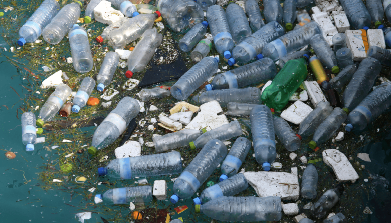 "Sin contaminación por plásticos", el lema en el Día Mundial del Medio Ambiente 2025: un llamado global y urgente