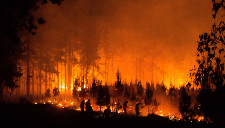 En el Día Internacional de la Prevención de Incendios Forestales, un llamado urgente a la acción