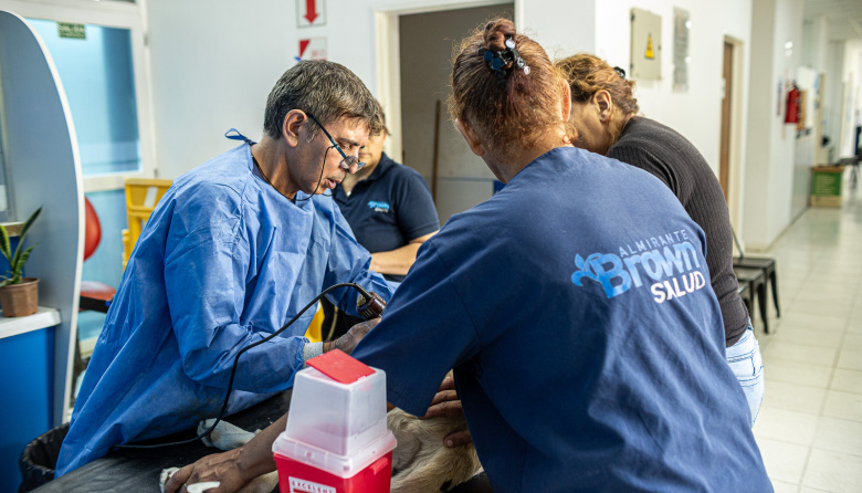 Operativo animal en Don Orione