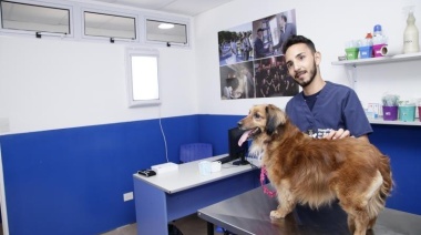 El hospital de mascotas de Lomas refuerza su servicio