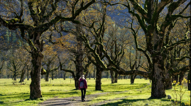 Los beneficios de caminar al aire libre para la salud física y mental