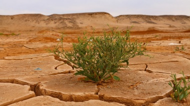 Qué es el cambio climático y cuáles son las consecuencias para el planeta