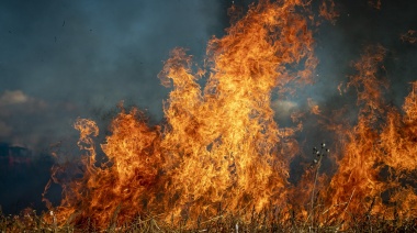 Incendios forestales, cambio climático y la necesidad de una solución urgente