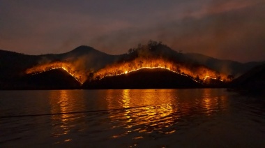 Los incendios en la Patagonia ya consumieron 10.000 hectáreas