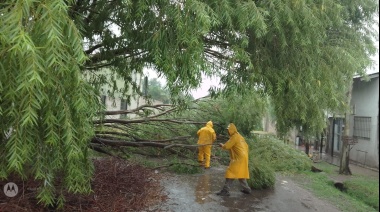 Calles, arroyos y sumideros: intensifican tareas tras las lluvias