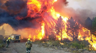 Se perdieron más de 48.000 hectáreas por los incendios en la Patagonia y cuestionan la estrategia ambiental