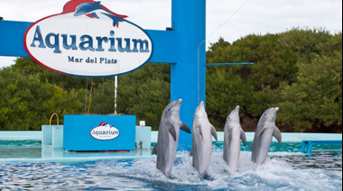 Tras 32 años, cierra Aquarium Mar del Plata: a dónde irán los animales