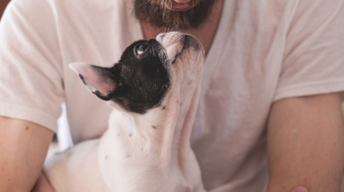 Día del Animal: por qué se celebra hoy en la Argentina y no en todo el mundo