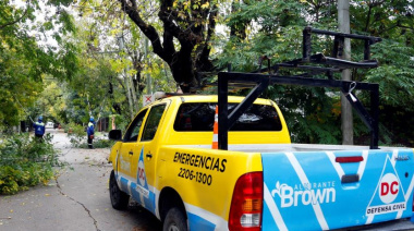 Lanzan una guía clave para cuidar los árboles en Almirante Brown
