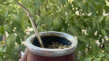 Cebar mate al volante puede costarte hasta $420.000