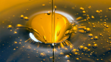 El aceite, ¿contamina o impulsa?: la elección está en tus manos