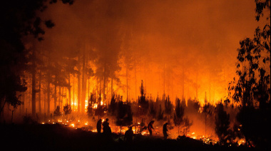En el Día Internacional de la Prevención de Incendios Forestales, un llamado urgente a la acción