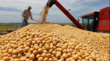 Una medida exprés para el campo: el Gobierno baja al 0% los derechos de exportación