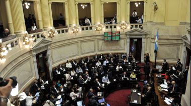 El Senado enfrenta los vetos de Milei a universidades y al Garrahan