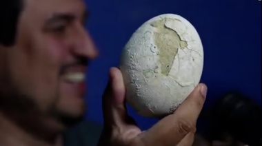 Un huevo de dinosaurio carnívoro conmocionó a la Patagonia