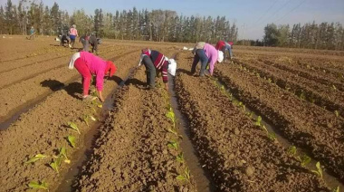 "Sin ellas, no hay campo posible"
