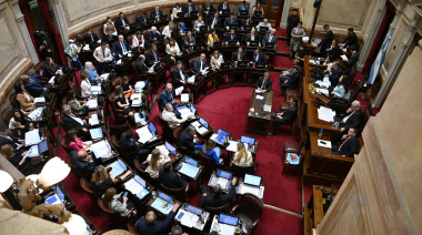 El Senado define el plan Milei