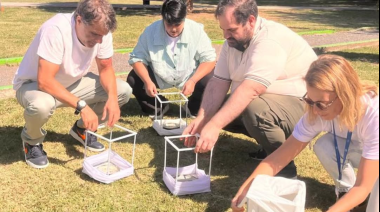 Liberan mosquitos para frenar el dengue