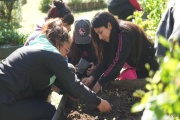 Lomas se une: más de 40 jornadas solidarias en un día