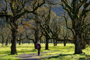 Los beneficios de caminar al aire libre para la salud física y mental