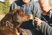 ¿Por qué tu perro te sigue a todas partes?