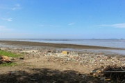 Más de 100 kilos de basura recolectados en una playa de Argentina