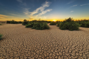 El cambio climático podría afectar a la mitad de los cultivos del mundo