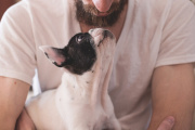 Día del Animal: por qué se celebra hoy en la Argentina y no en todo el mundo