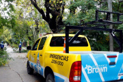 Lanzan una guía clave para cuidar los árboles en Almirante Brown