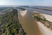 Siete de las principales amenazas globales para la biodiversidad están en Argentina