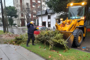 Tras la lluvia, limpieza sin descanso