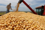 Una medida exprés para el campo: el Gobierno baja al 0% los derechos de exportación