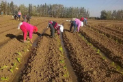 "Sin ellas, no hay campo posible"