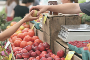 Las pymes no encuentran piso