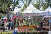 Expo Vivero: flores, sabores y ofertas en Adrogué
