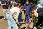 Un árbol para cuidar el futuro