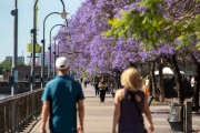 Calor, lluvia y viento: así llega la primavera al AMBA