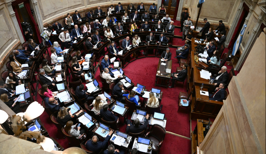 El Senado define el plan Milei